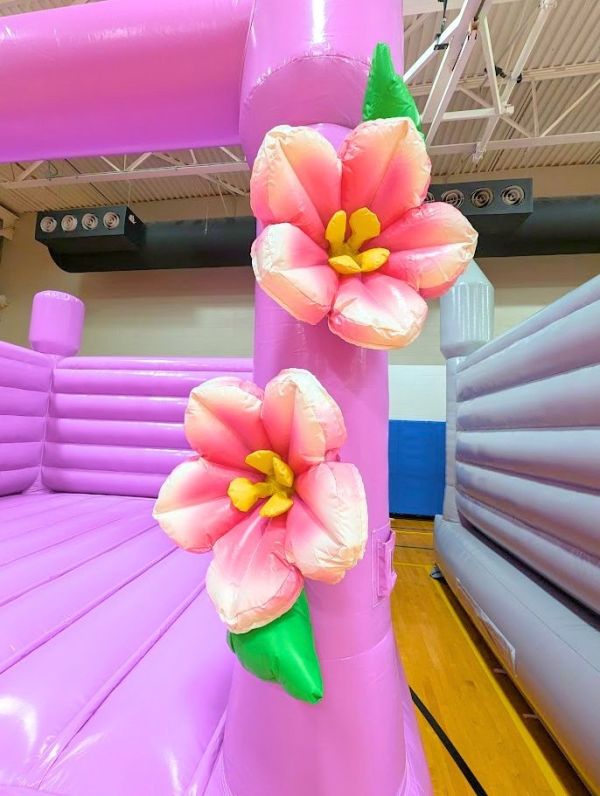 FLOWER BLOSSOMS BOUNCER 2