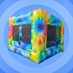 GROOVY JUMP BOUNCER 1