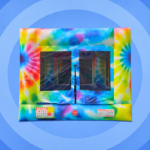 GROOVY JUMP BOUNCER 2